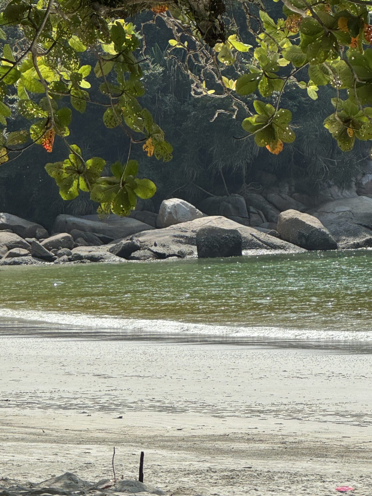 pangkor-laut